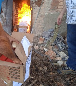 [Vídeo] Polícia Civil incinera 160kg de drogas apreendidas em Arapiraca