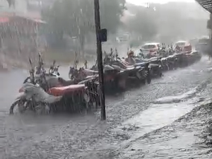 Temporal em Arapiraca: volume de chuva em 3 horas supera 20 dias de janeiro de 2024