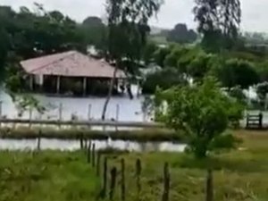 [Vídeo] Cheia do Rio São Francisco atinge propriedades rurais e impressiona ribeirinhos