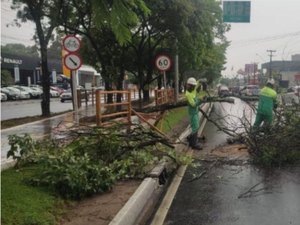 Prefeitura de Maceió realiza ações contra transtornos em decorrência das fortes chuvas