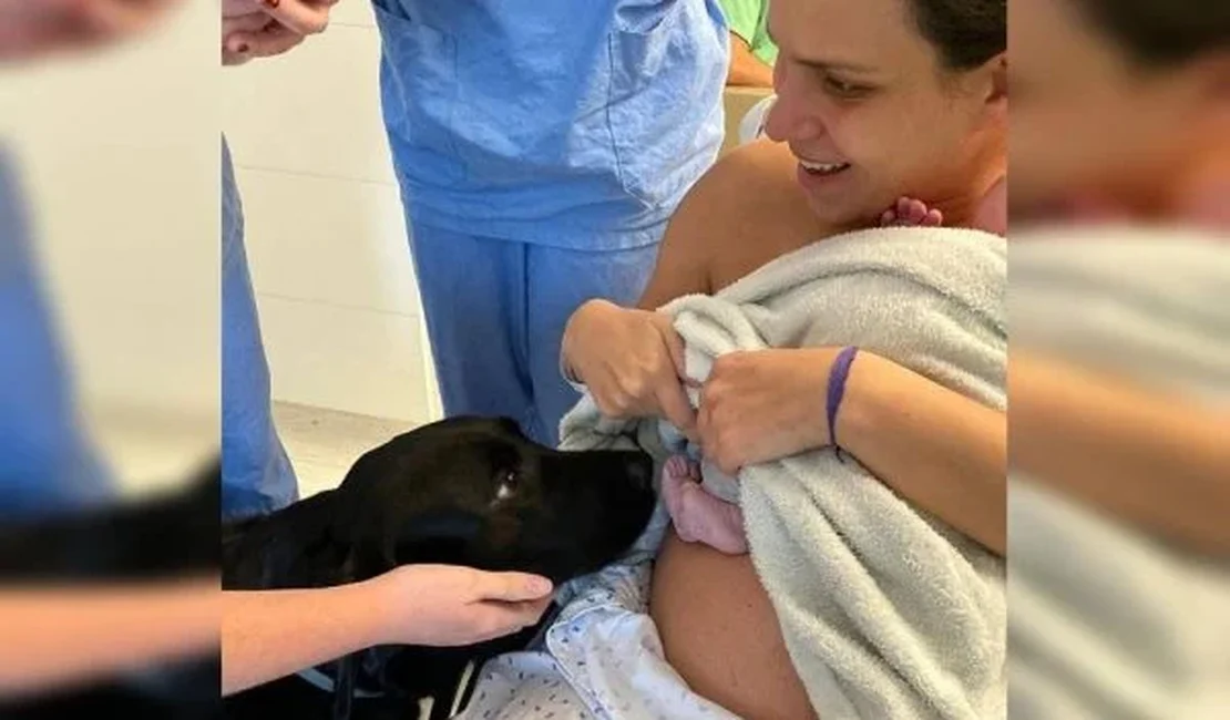 Em vídeo emocionante, cadela-guia conhece bebê de sua tutora