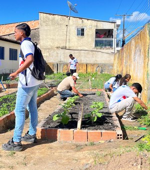 Projeto Horta nas Escolas é implantado no município de Matriz de Camaragibe