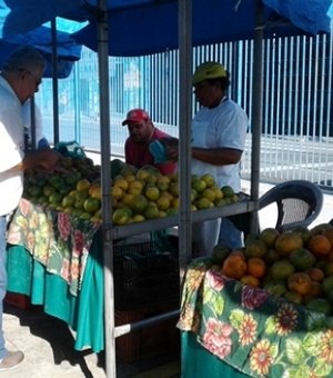 Feiras livres no interior de Alagoas são desafio para gestores