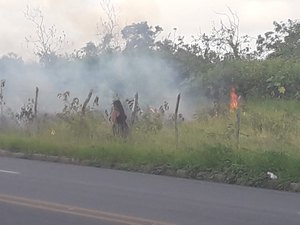 Em oito horas, cidades alagoanas registram sete incêndios em vegetação