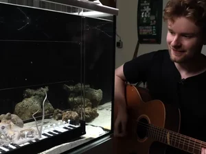 Jovem compra polvo vivo em mercado e ensina animal a tocar piano