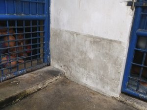 Sindicato denuncia condições insalubres na Delegacia de Marechal Deodoro