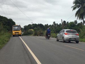 Barra Grande fica sem energia após vento derrubar postes em Maragogi