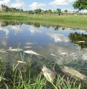 Morador denuncia que canalização de água das chuvas provoca morte de peixes