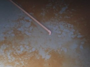 Povoado Poção: moradores denunciam que precisam comprar água para o consumo 