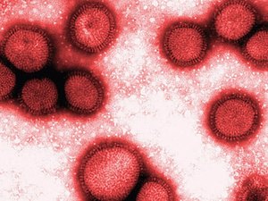 Londrina confirma primeira morte causada pela gripe H3N2