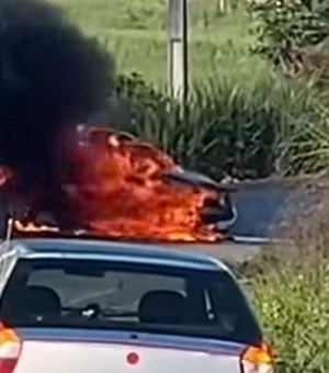 Carro pega fogo após acidente em rodovia de Porto Calvo