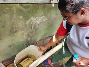 Em Penedo: mutirão de combate à dengue elimina focos do mosquito no Barro Vermelho