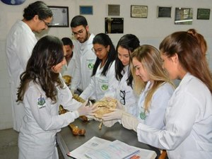 Vestibular Uncisal 2019 oferta 50% das vagas para alunos da rede pública