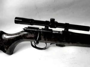 Mandado judicial resulta na apreensão de carabina e munições em Maribondo