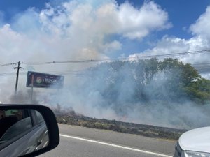 Incêndio em vegetação dificulta visibilidade de motoristas na AL-101 Sul