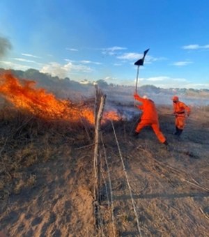 Alagoas registra queda de 7% nas ocorrências de incêndios em vegetação em 2024