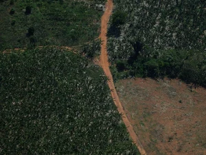 Bezos e DiCaprio fecham operação emergencial na Amazônia com Marina Silva