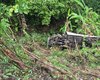 Caminhão cai em ribanceira e deixa feridos em Branquinha