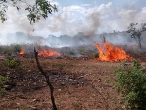 População denuncia queimadas irregulares próximo a rio em Olivença