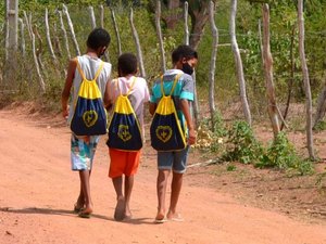 IBGE revela alto número de jovens sertanejos sem instrução e fundamental incompleto em Alagoas