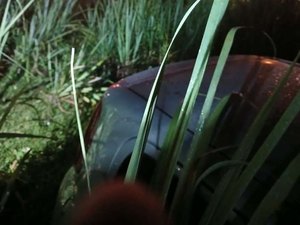 Homem é encontrado morto dentro de carro em canavial no Benedito Bentes, em Maceió