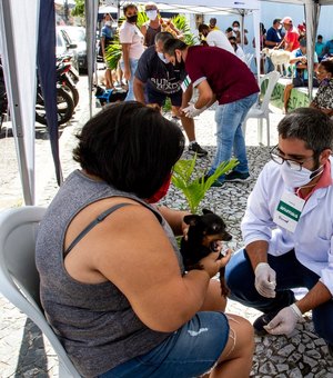 Campanha realiza mais de 700 atendimentos veterinários  nos bairros de Bebedouro e Pinheiro