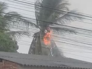 Raio atinge coqueiro e provoca incêndio durante forte chuva em Arapiraca