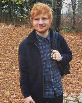 Ed Sheeran perde artistas e banda da sua turnê após expulsão de rapper por discurso pró-Palestina