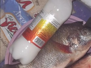 Prefeitos são denunciados pela baixa qualidade do pescado distribuído na Semana Santa
