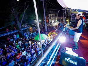 Tabaqueiros leva mais de 10 mil foliões para a avenida em Palmeira de Fora