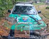 Após denúncia anônima, PM flagra arma e aves silvestres em cativeiro em Passo do Camaragibe