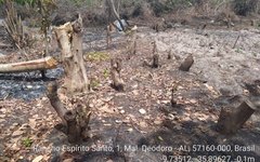 No local, BPA encontrou árvores cortadas e queimadas ilegalmente