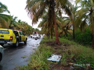 Mulher fica ferida após carro colidir contra coqueiros em Roteiro