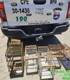 Polícia Militar resgata mais de 100 aves silvestres em operação no litoral Sul