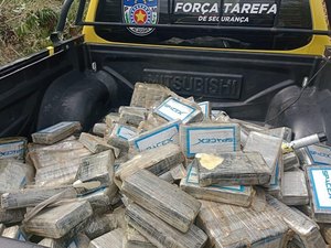 PF apreende 195 kg de cocaína em queda de avião em Coruripe e identifica indícios de transnacionalidade