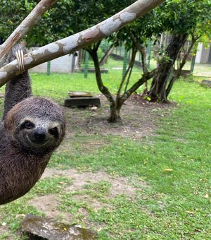 Do resgate à liberdade: veja balanço do trabalho do Cetas em 2025