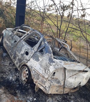 Condutor bate veículo em poste e carro incendeia na Barra de Santo Antônio