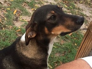 ´Maria Flor´ está desaparecida e família pede ajuda para encontrá-la 