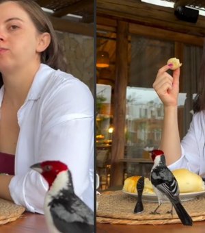 Ave rouba café da manhã de turista em Ilhéus e vídeo viraliza na web
