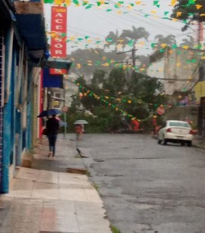 Árvore cai e deixa rua bloqueada no Centro de Maceió