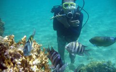 Mergulhos são um dos principais atrativos de Maragogi e APA Costa dos Corais