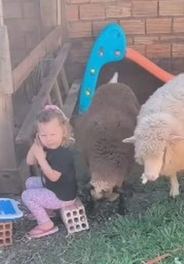 Menina de 2 anos encanta a web ao brincar de veterinária com muita criatividade