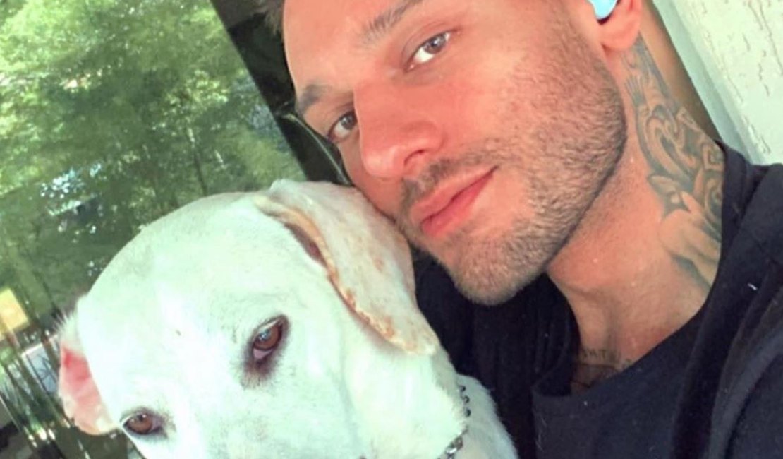 Lucas Lucco pede orações por cachorro que passará por cirurgia