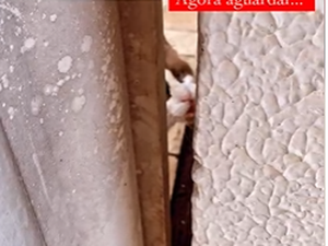 [Vídeo] Professora denuncia gato abandonado em casa de corretor de imóveis desde sexta-feira, em Arapiraca
