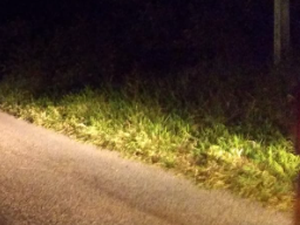 Colisão frontal entre caminhão e Fiat Strada deixa um ferido