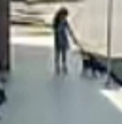 Pitbull ataca e mata pinscher na frente de criança no bairro Cavaco, em Arapiraca