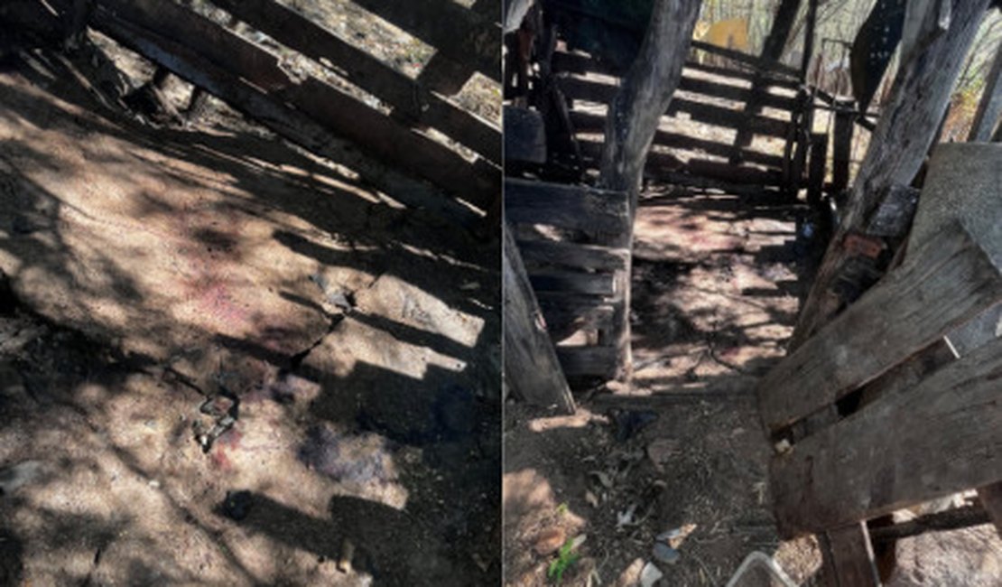 Porco é abatido e levado durante invasão a propriedade em Piranhas
