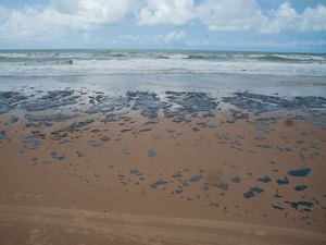 Pesquisador da Ufal alerta para o impacto das manchas de petróleo no litoral