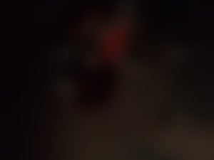 Homem morre atropelado na AL 465 em Japaratinga