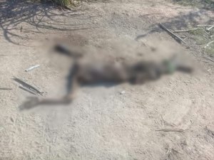 Corpo em avançado em estado de decomposição é encontrado em São Luís 